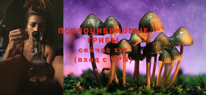 Псилоцибиновые грибы Magic Shrooms  blacksprut   Волчанск 